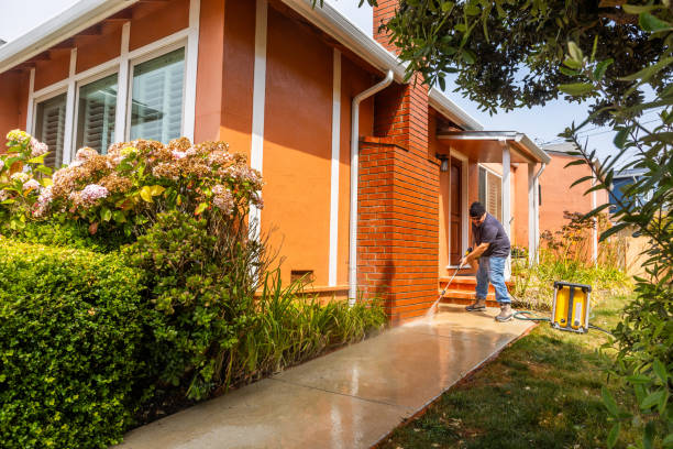 Best Pressure Washing Patio  in New Waverly, TX